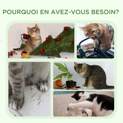 PawHut - arbre à chat griffoirs boules plateforme