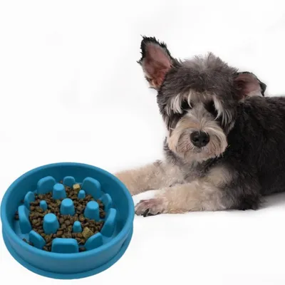 Pet Planet Bol d'alimentation lente en silicone