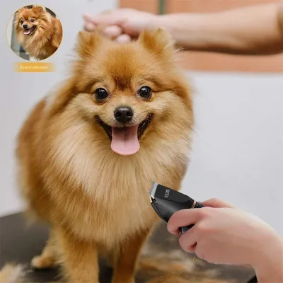 MCBOSON Hundeschermaschine mit Titan-Keramik-Klinge MCBOSON Hundeschermaschine mit Titan-Keramik-Klinge