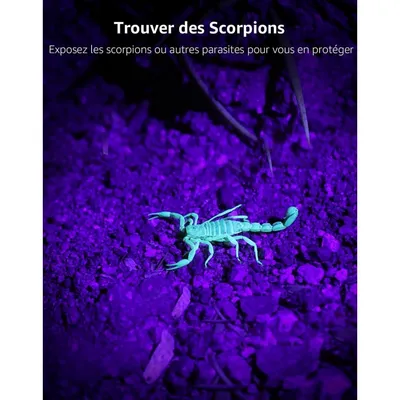 MCBOSON  Lampe torche UV 395nm