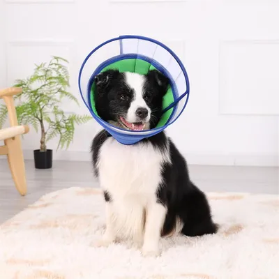 MCBOSON Collerette pour chien anti léchage et grattage MCBOSON Collerette pour chien anti léchage et grattage