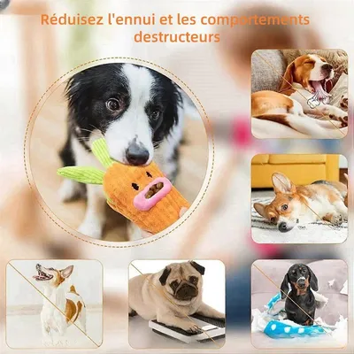 MCBOSON Karottenförmiges Hundespielzeug mit integrierter Pfeife MCBOSON Karottenförmiges Hundespielzeug mit integrierter Pfeife