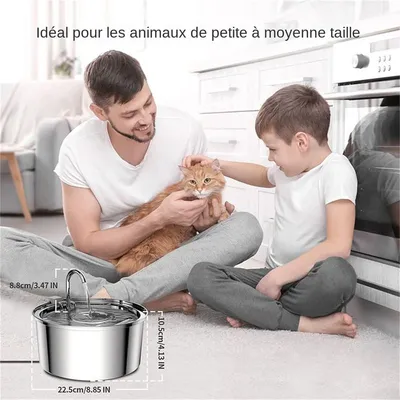 Fontaine à eau grande capacité pour chat