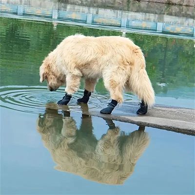 MCBOSON Hundeschuhe