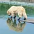 MCBOSON Hundeschuhe