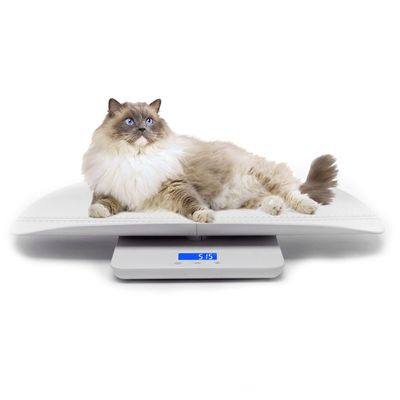 MCBOSON  Balance Numérique pour Animaux de Compagnie