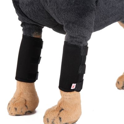 MCBOSON  Protections pour pattes de chien