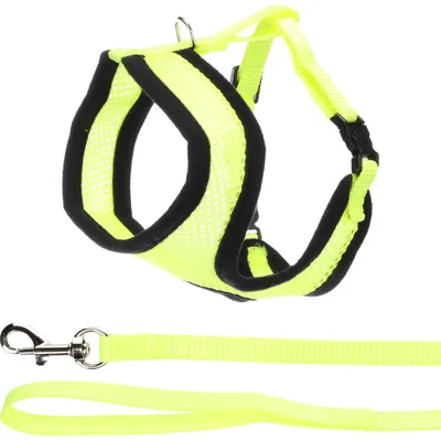 Harnais avec laisse couleur Jaune fluo pour chaton