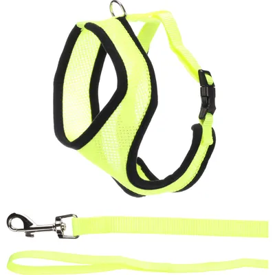 Harnais avec laisse Jaune fluo pour grand chat Harnais avec laisse Jaune fluo pour grand chat