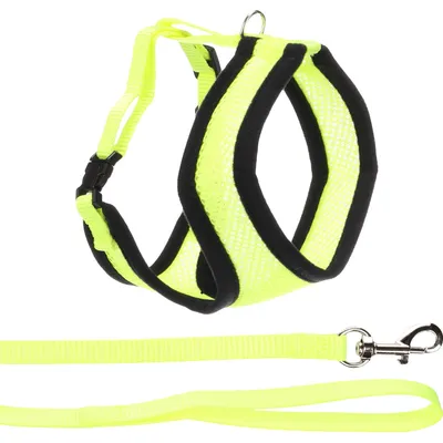 Harnais avec laisse Jaune fluo pour chat