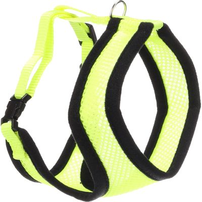Harnais avec laisse Jaune fluo pour chat