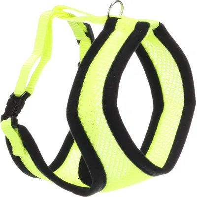Harnais avec laisse Jaune fluo pour chat