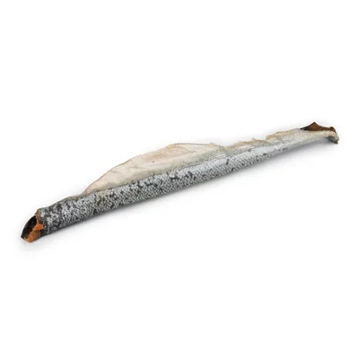 A PET STORE – Peau de saumon avec filet XXL – 1 pièce