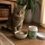 ORNIS - Felizyme Complement Digestif   Chat - Ornis 180 g