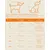 Feandrea Sac Transport Chat Chien, Caisse Pliable Animaux de Companie