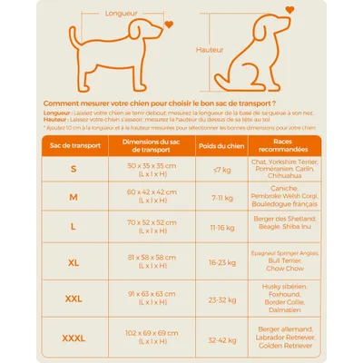 Feandrea Sac Transport Chat Chien, Caisse Pliable Animaux de Companie