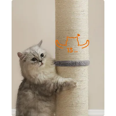 Feandrea Griffoir pour Chat, Poteau à Gratter en Sisal