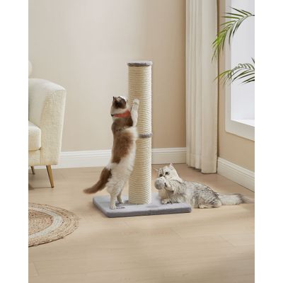 Feandrea Griffoir pour Chat, Poteau à Gratter en Sisal