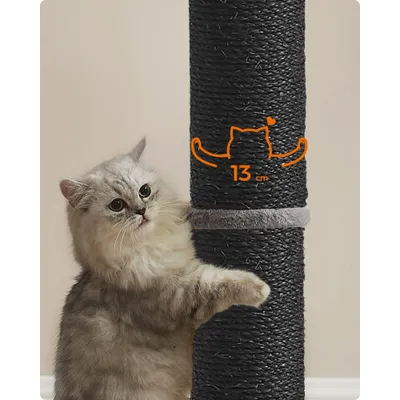Feandrea Griffoir pour Chat, Poteau à Gratter en Sisal