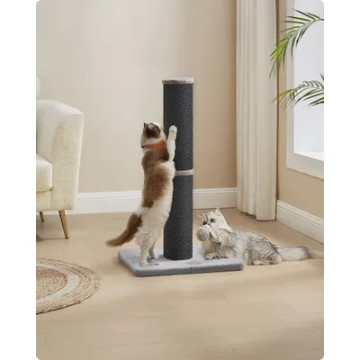 Feandrea Griffoir pour Chat, Poteau à Gratter en Sisal