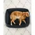 Feandrea Panier pour Chiens, Lit pour Animaux, Canapé, en Tissu Façon Lin