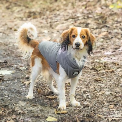 Love Story Doudoune chien doublure polaire - zip, pochette rangement
