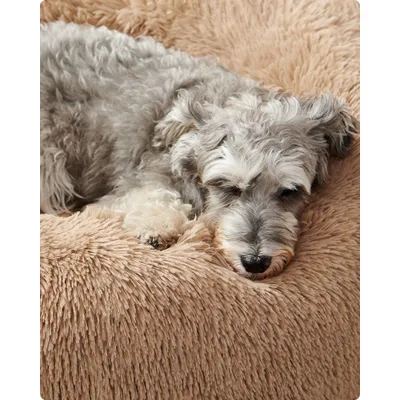 Feandrea Lit pour Chien, Panier en Forme de Beignet pour Chien