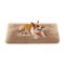 Feandrea Panier pour Chien, Canapé, Lit pour Animaux XL : 110 x 73 cm (L x l), Marron Camel