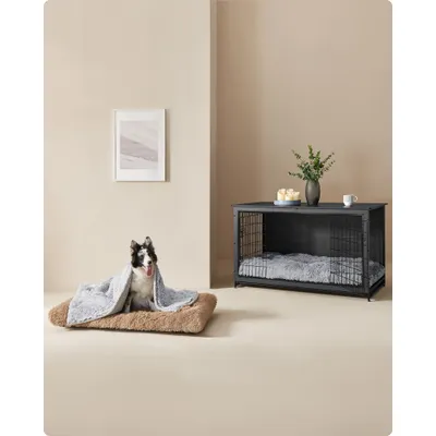 Feandrea Panier pour Chien, Canapé, Lit pour Animaux