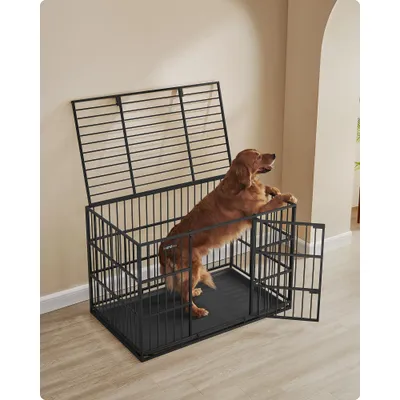 Feandrea Cage pour Chien Ultra-résistante, Caisse pour Animaux de Compagnie Feandrea Cage pour Chien Ultra-résistante, Caisse pour Animaux de Compagnie