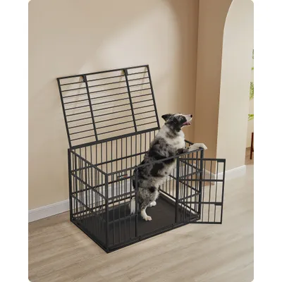 Feandrea Cage pour Chien Ultra-résistante, Caisse pour Animaux de Compagnie