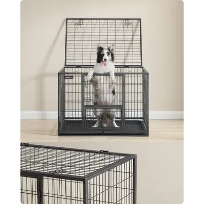 Feandrea Cage pour Chien Lourd, Double Porte Amovible