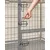 Feandrea Cage pour Chien Lourd, Double Porte Amovible