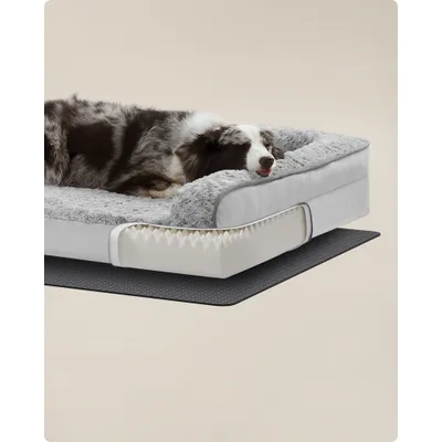 Feandrea Panier pour Chiens Moyens, Lit pour Animal, Orthopédique Feandrea Panier pour Chiens Moyens, Lit pour Animal, Orthopédique
