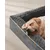 Feandrea Panier pour Grands Chiens, Lit pour Animal, Orthopédique Feandrea Panier pour Grands Chiens, Lit pour Animal, Orthopédique
