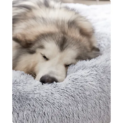 Feandrea Lit pour Chien, Panier en Forme de Beignet pour Chien