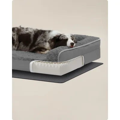 Feandrea Panier pour Chiens Moyens, Lit pour Animal, Orthopédique Feandrea Panier pour Chiens Moyens, Lit pour Animal, Orthopédique