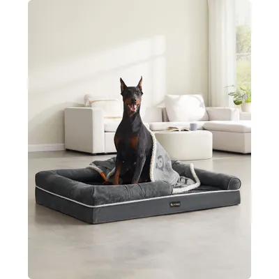 Feandrea Panier, Canapé, Lit pour Chiens jusqu'à 60 kg
