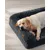 Feandrea FluffyHug Canapé pour Grands Chiens, Housse Amovible Lavable Feandrea FluffyHug Canapé pour Grands Chiens, Housse Amovible Lavable