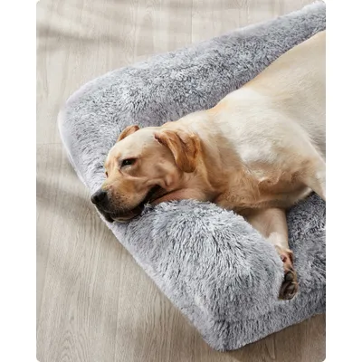 Feandrea FluffyHug Canapé pour Grands Chiens, Housse Amovible Lavable