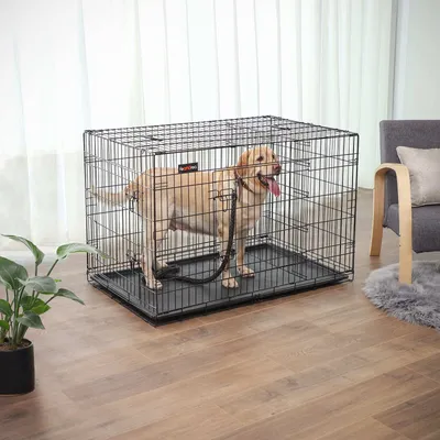 Feandrea Cage pour Grands Chiens, Pliable avec 2 Portes