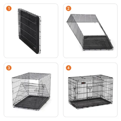 Feandrea Cage pour Chiens de taille moyenne, Pliable avec 2 Portes