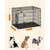 Feandrea Cage pour Chiens de taille moyenne, Pliable avec 2 Portes