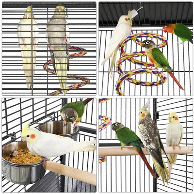 Vogelvoliere Vogelkäfig Voliere Vogelhaus Vogelheim Vogelbauer Tierkäfig