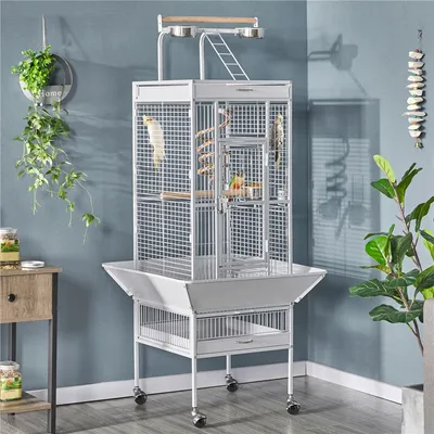 Cage à Oiseaux Sur Pied Avec Toit Perchoir Cage Pour Perruches à Roulettes