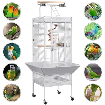 Vogelvoliere Vogelkäfig Voliere Vogelhaus Vogelheim Vogelbauer Tierkäfig