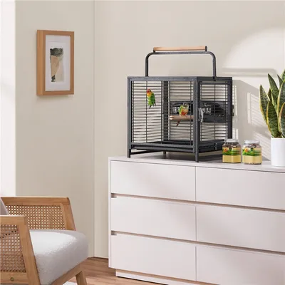 Cage De Voyage En Métal Avec Perchoir Poignée, Attrape-graines