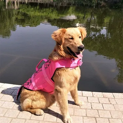 MCBOSON Schwimmbekleidung für Hunde MCBOSON Schwimmbekleidung für Hunde