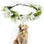 MCBOSON  Collier de fleurs de mariage pour chien