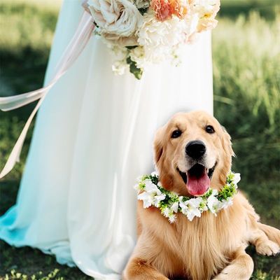 MCBOSON Hochzeitsblumenhalsband für Hunde